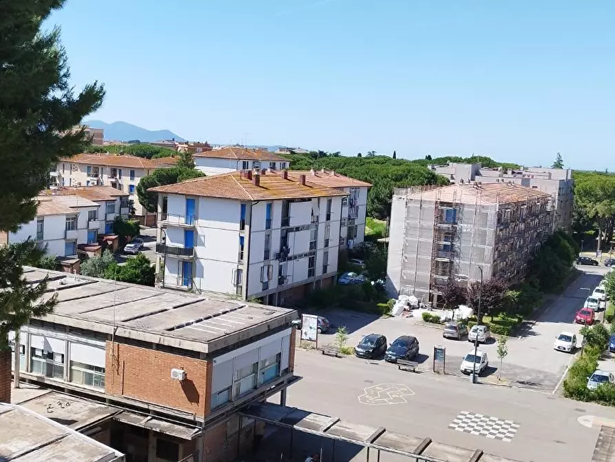 Immagine 3 di Appartamento in vendita  a Grosseto