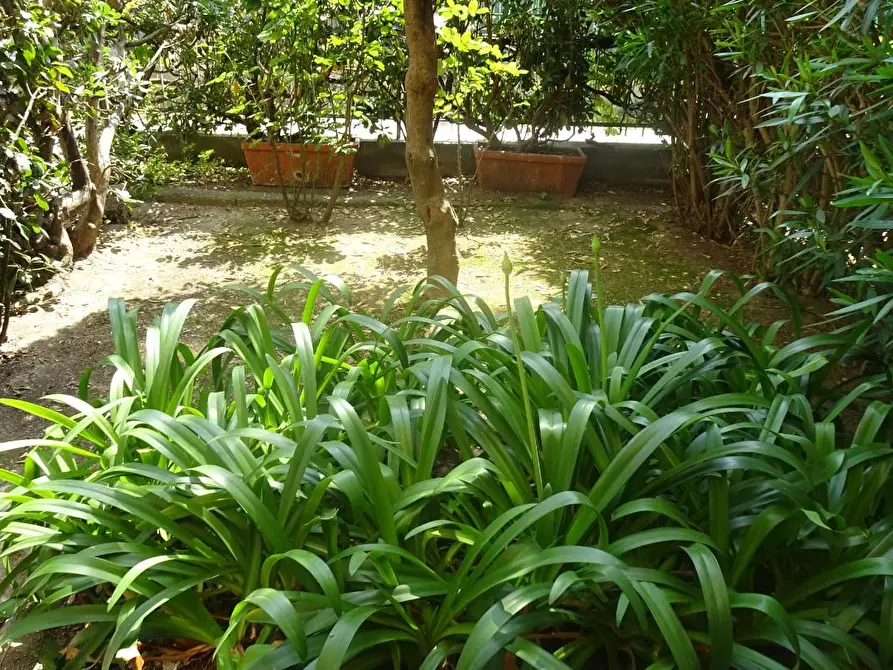 Immagine 30 di Appartamento in vendita  a Cascina