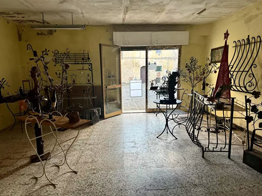 Immagine 6 di Terratetto in vendita  a Peccioli