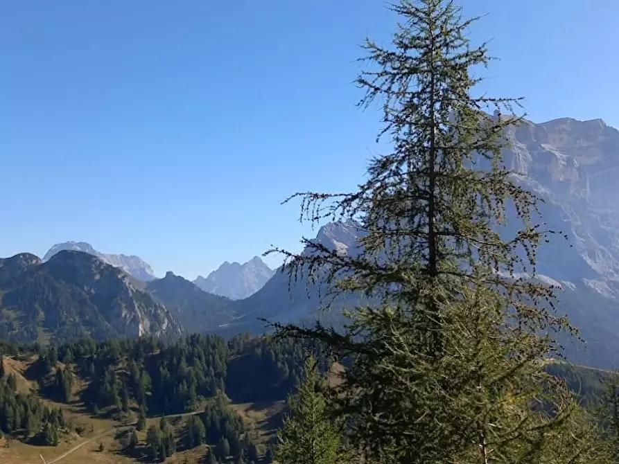 Immagine 23 di Villa in vendita  a Carrara