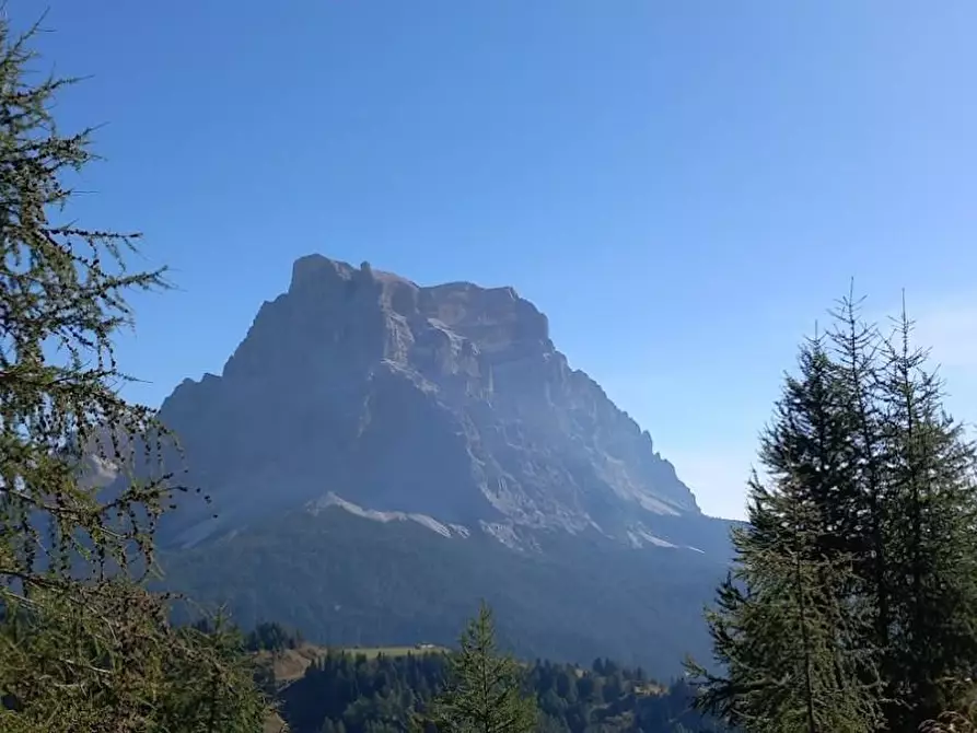 Immagine 24 di Villa in vendita  a Carrara