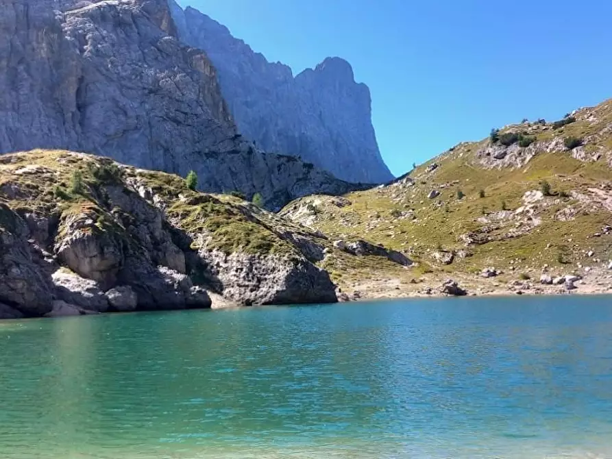 Immagine 27 di Villa in vendita  a Carrara