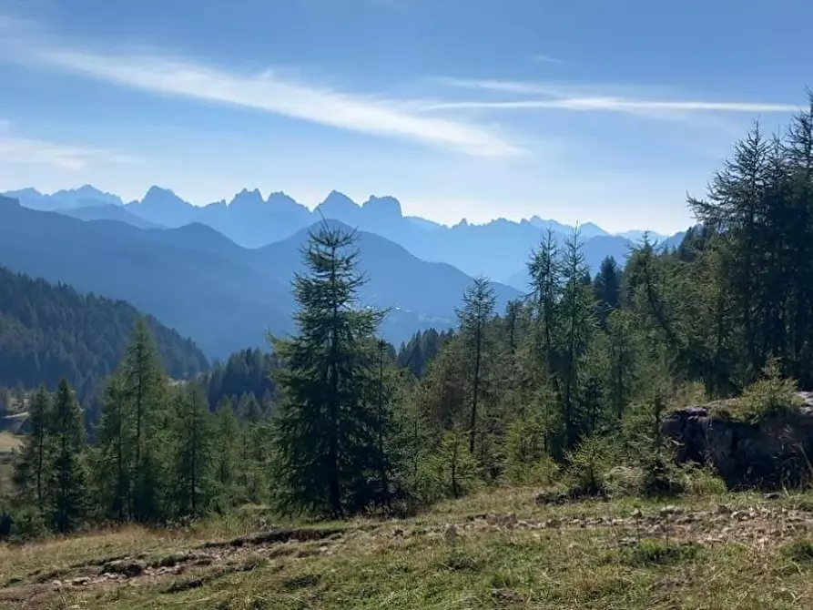 Immagine 20 di Villa in vendita  a Carrara