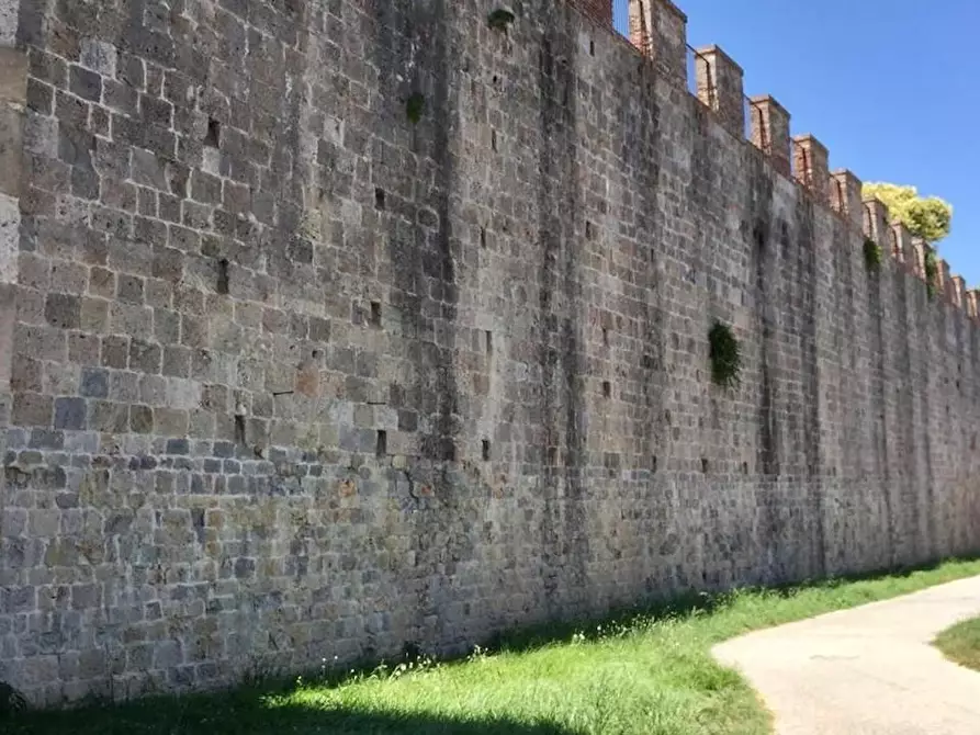 Immagine 17 di Appartamento in vendita  a Pisa