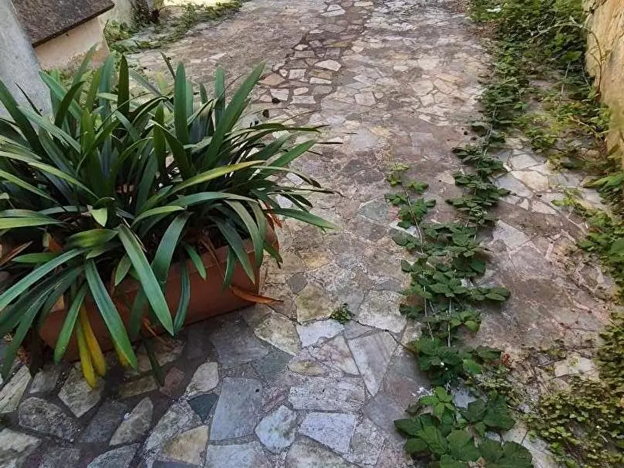 Immagine 11 di Casa quadrifamiliare in vendita  a Viareggio