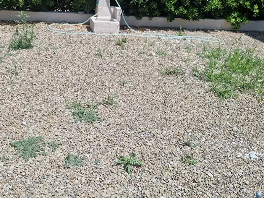 Immagine 17 di Appartamento in vendita  a Ponsacco