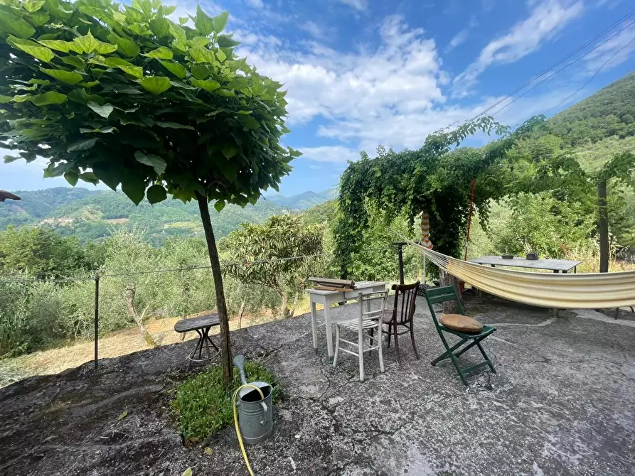 Immagine 16 di Rustico / casale in vendita  a Borgo A Mozzano