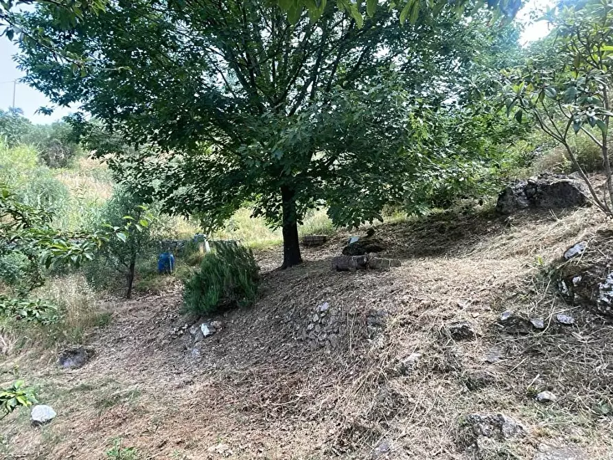 Immagine 21 di Rustico / casale in vendita  a Borgo A Mozzano