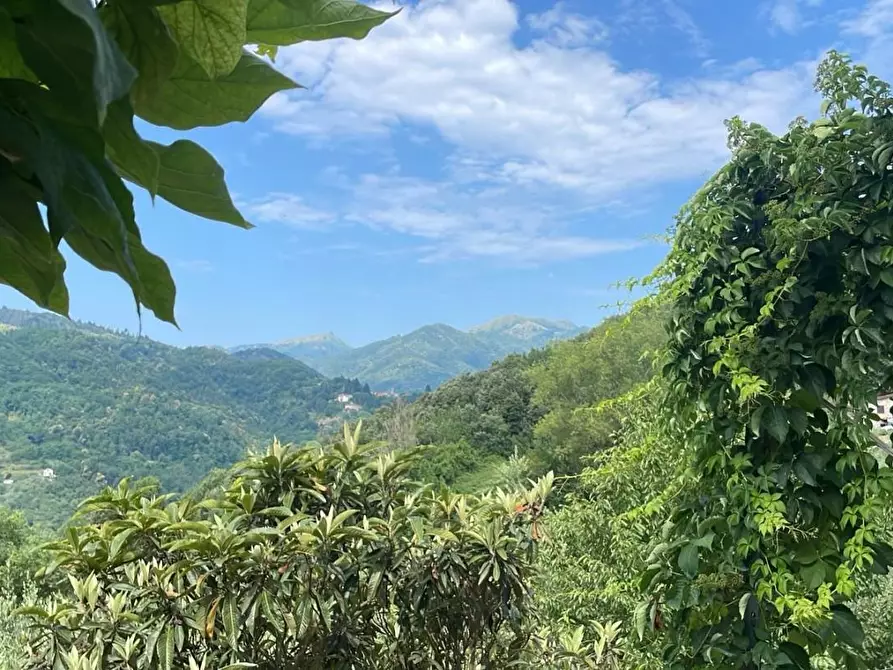 Immagine 19 di Rustico / casale in vendita  a Borgo A Mozzano