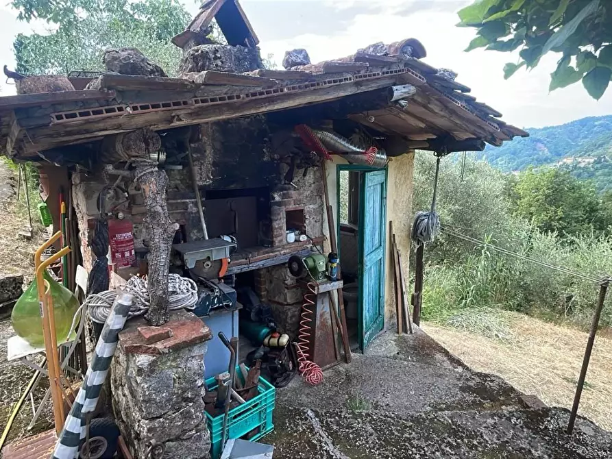 Immagine 24 di Rustico / casale in vendita  a Borgo A Mozzano
