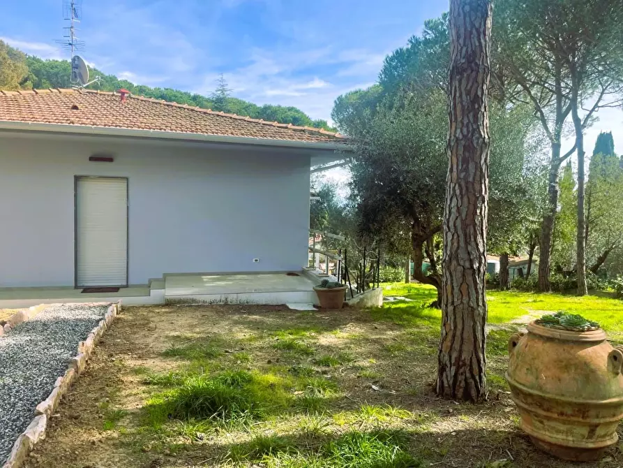 Immagine 4 di Villa in vendita  a Rosignano Marittimo