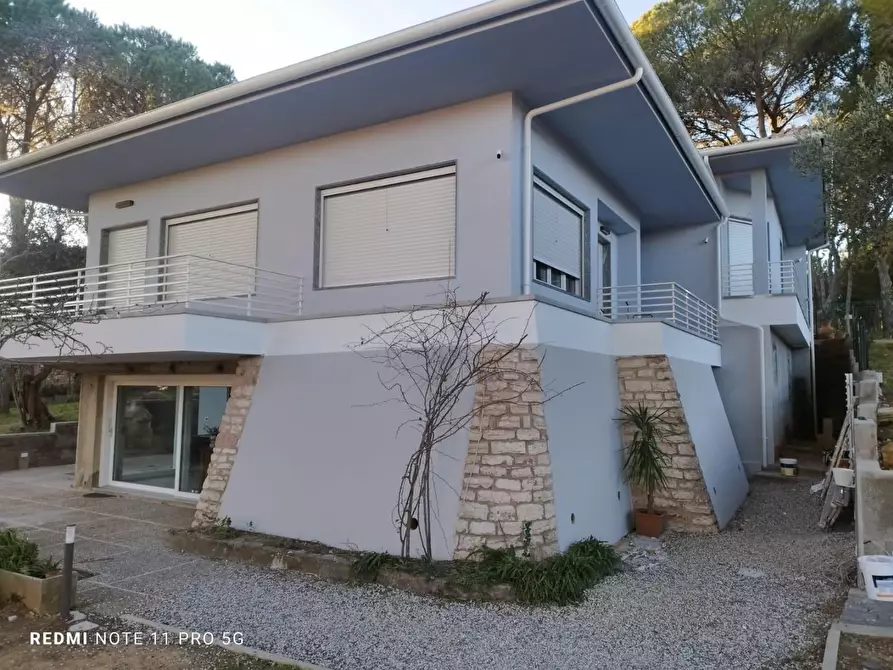 Immagine 2 di Villa in vendita  a Rosignano Marittimo