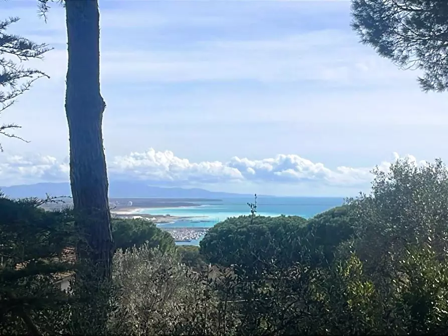 Immagine 1 di Villa in vendita  a Rosignano Marittimo