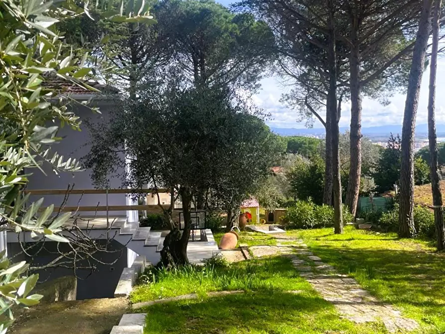 Immagine 5 di Villa in vendita  a Rosignano Marittimo