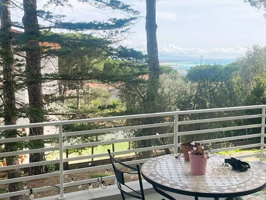 Immagine 3 di Villa in vendita  a Rosignano Marittimo