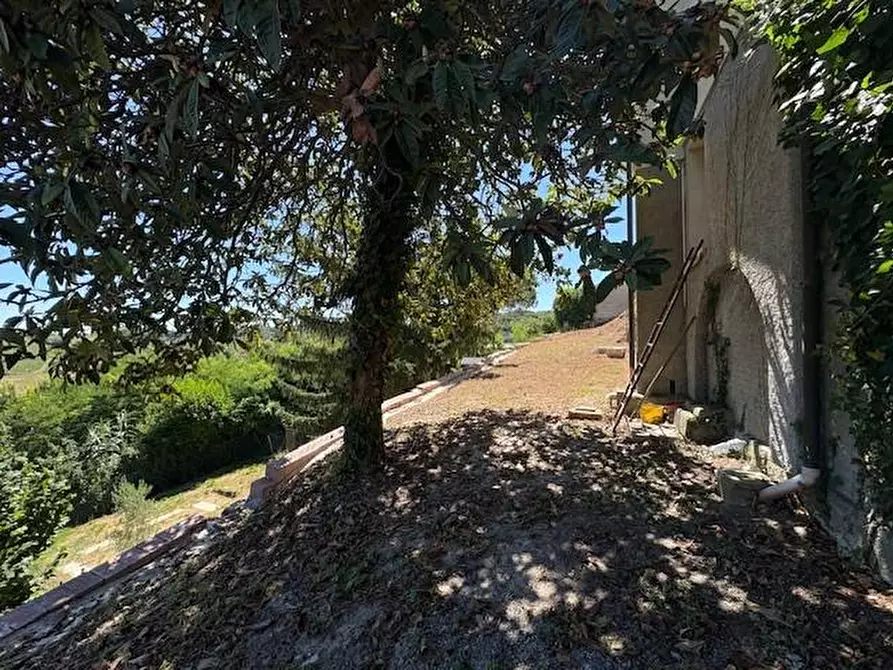 Immagine 52 di Appartamento in vendita  a Crespina Lorenzana