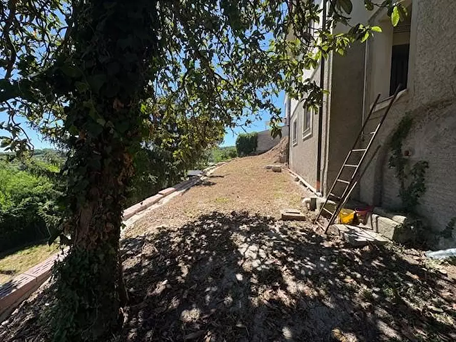 Immagine 19 di Appartamento in vendita  a Crespina Lorenzana