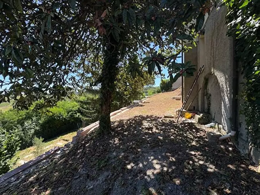 Immagine 51 di Appartamento in vendita  a Crespina Lorenzana