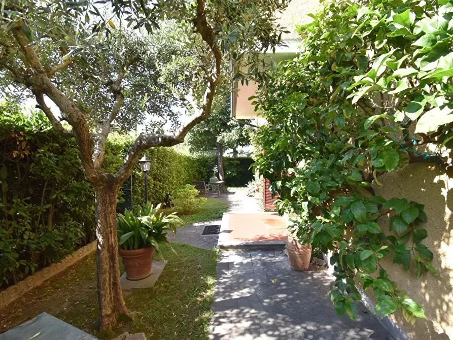 Immagine 10 di Casa trifamiliare in vendita  a Pietrasanta