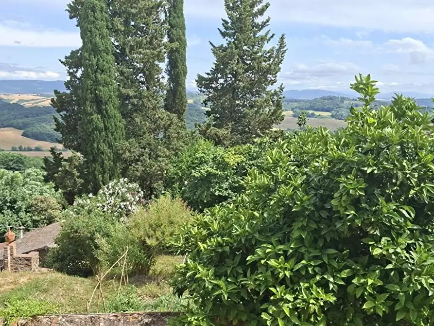 Immagine 1 di Appartamento in vendita  a Palaia