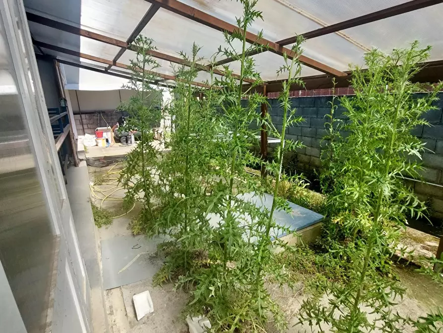 Immagine 10 di Attività artigianale in vendita  a Camaiore