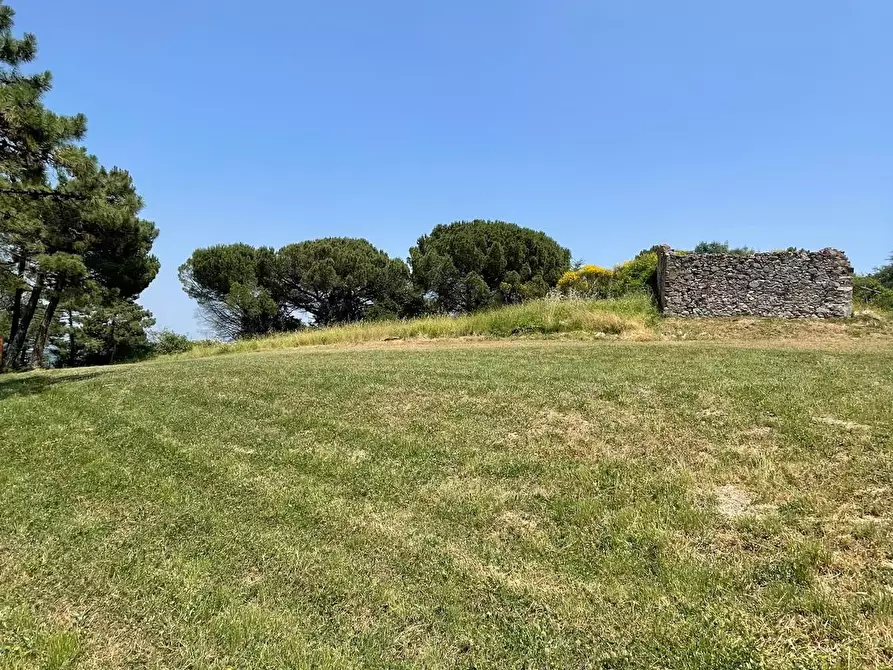 Immagine 50 di Casa indipendente in vendita  a Casciana Terme Lari