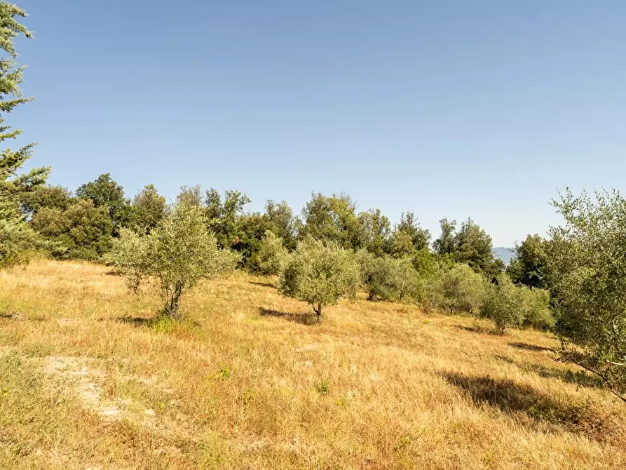 Immagine 41 di Casa indipendente in vendita  a Casciana Terme Lari
