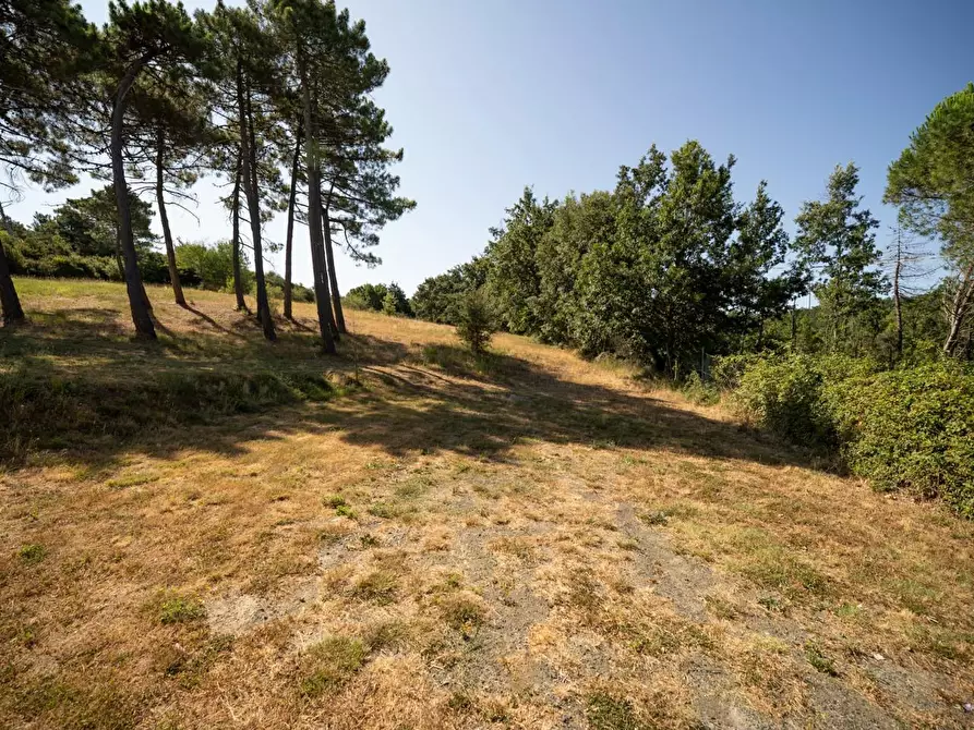 Immagine 44 di Casa indipendente in vendita  a Casciana Terme Lari