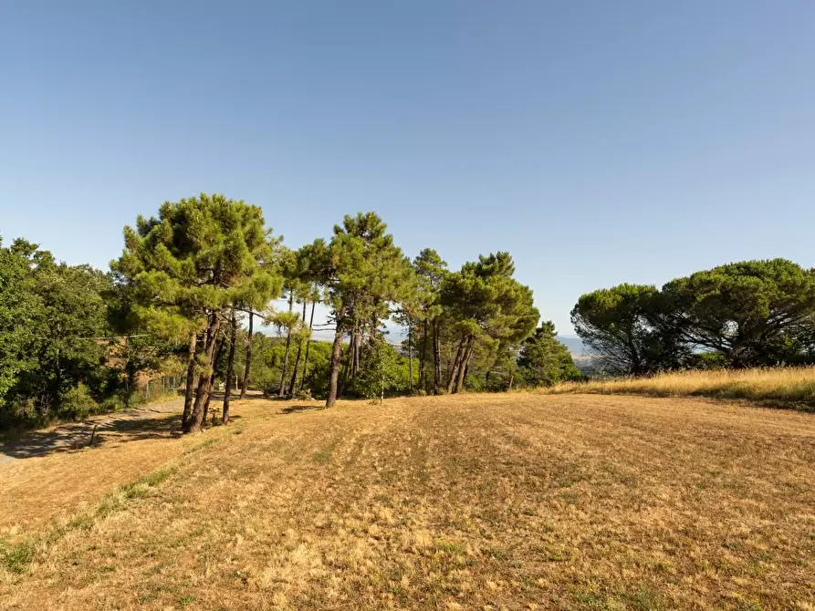Immagine 4 di Casa indipendente in vendita  a Casciana Terme Lari