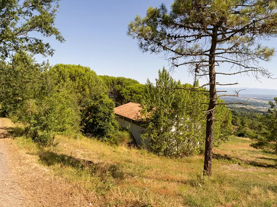 Immagine 40 di Casa indipendente in vendita  a Casciana Terme Lari