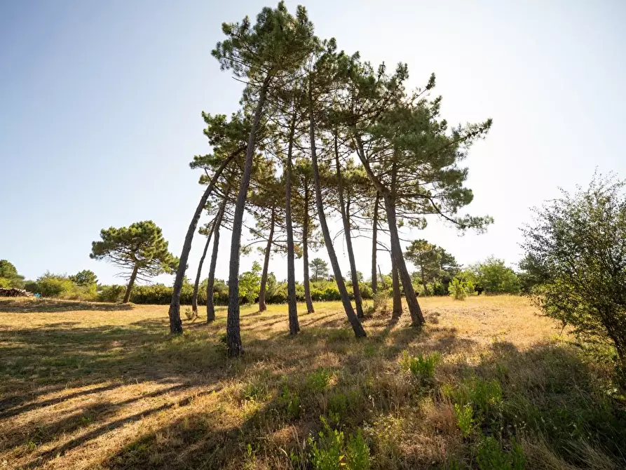 Immagine 45 di Casa indipendente in vendita  a Casciana Terme Lari