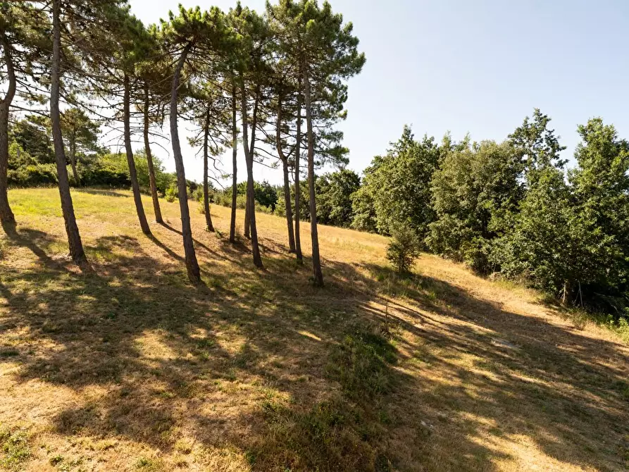 Immagine 33 di Casa indipendente in vendita  a Casciana Terme Lari