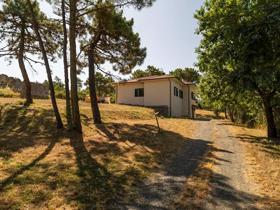 Immagine 2 di Casa indipendente in vendita  a Casciana Terme Lari