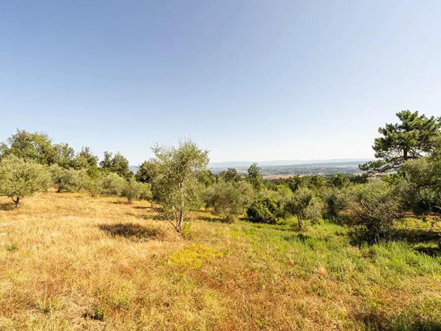 Immagine 3 di Casa indipendente in vendita  a Casciana Terme Lari