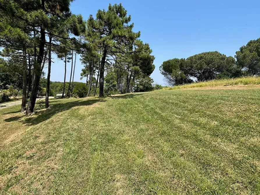 Immagine 52 di Casa indipendente in vendita  a Casciana Terme Lari