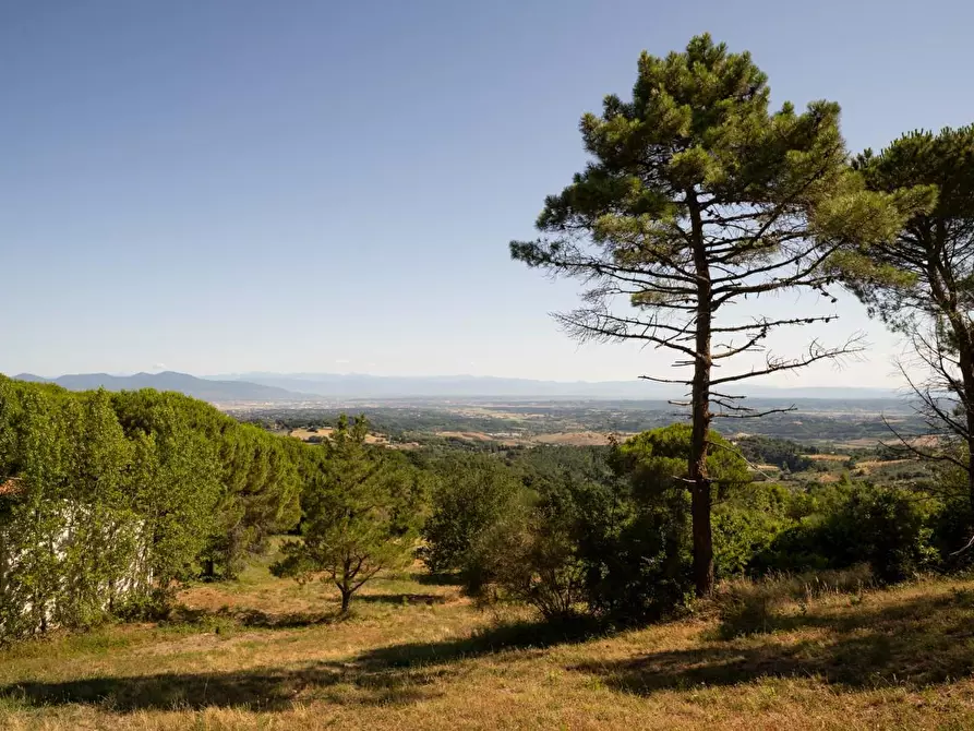 Immagine 39 di Casa indipendente in vendita  a Casciana Terme Lari