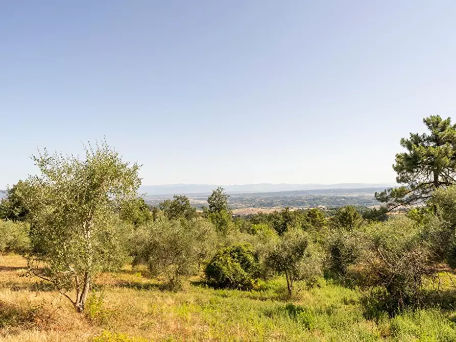 Immagine 43 di Casa indipendente in vendita  a Casciana Terme Lari
