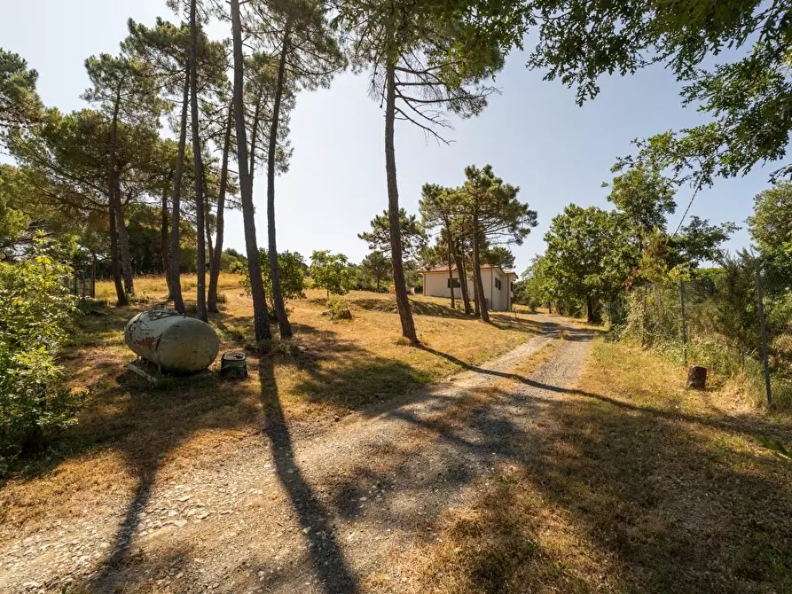 Immagine 46 di Casa indipendente in vendita  a Casciana Terme Lari