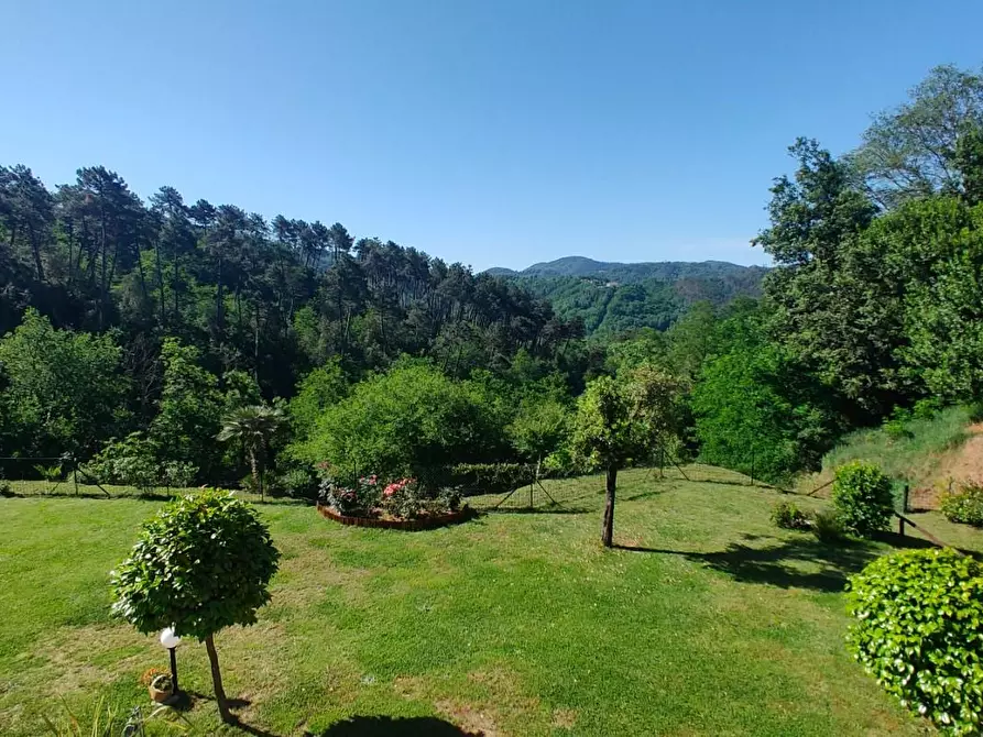 Immagine 17 di Villa in vendita  a Camaiore
