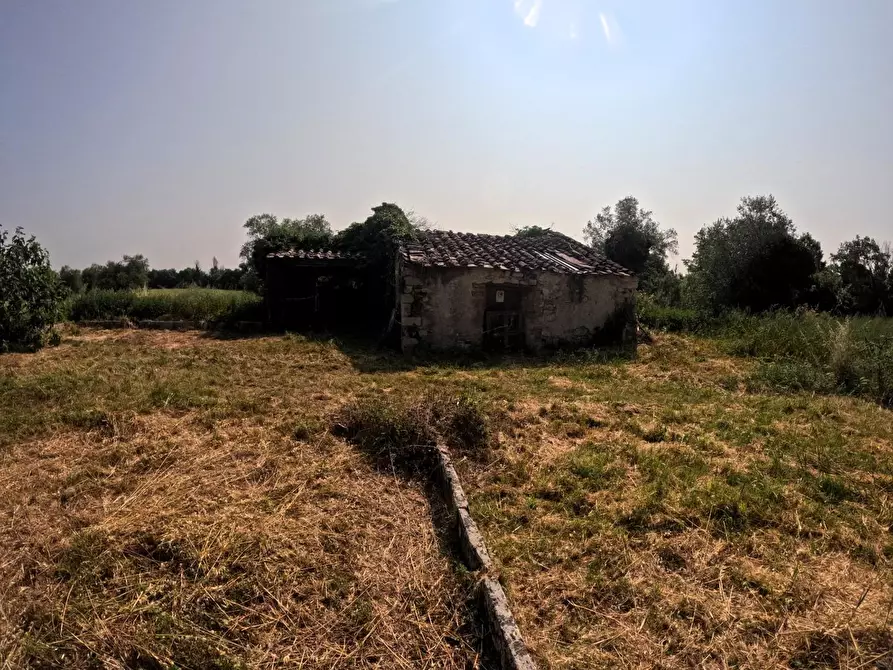 Immagine 13 di Rustico / casale in vendita  a Colle Di Val D'elsa