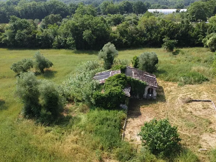 Immagine 12 di Rustico / casale in vendita  a Colle Di Val D'elsa