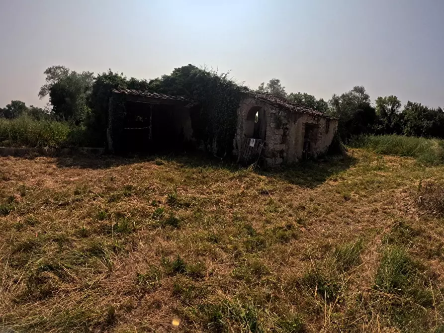 Immagine 14 di Rustico / casale in vendita  a Colle Di Val D'elsa