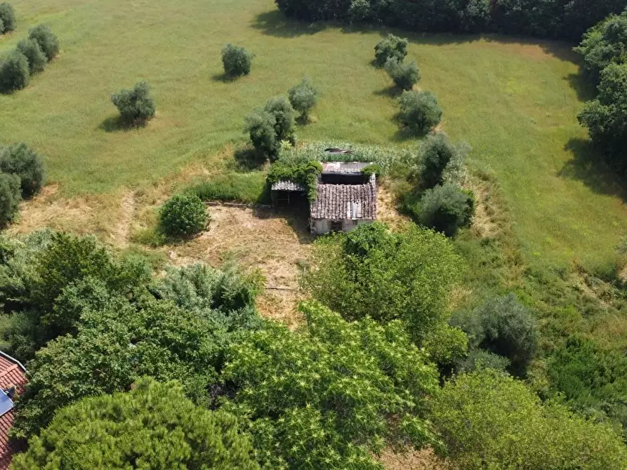 Immagine 10 di Rustico / casale in vendita  a Colle Di Val D'elsa