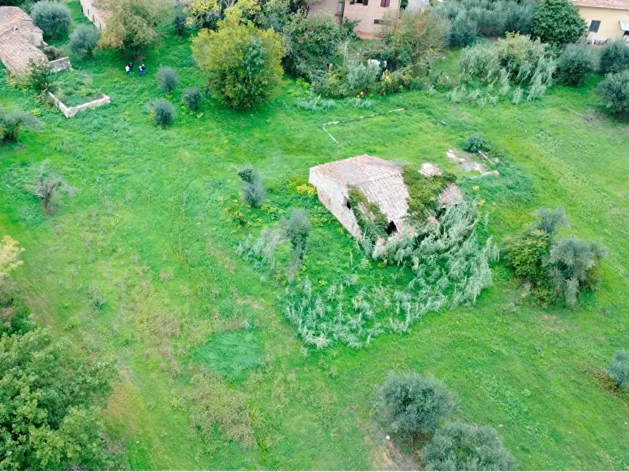 Immagine 3 di Rustico / casale in vendita  a Colle Di Val D'elsa