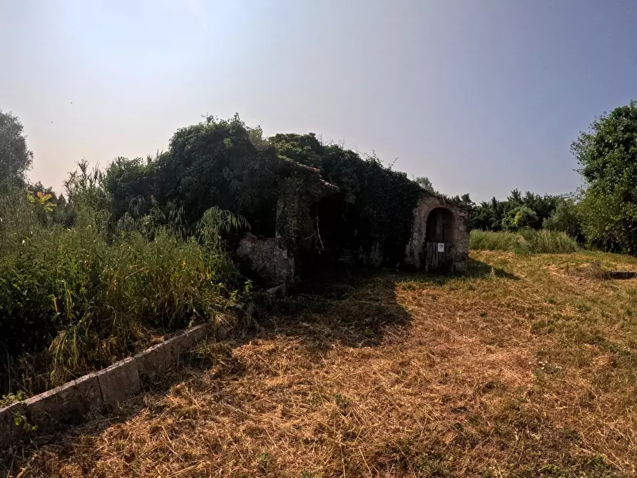 Immagine 15 di Rustico / casale in vendita  a Colle Di Val D'elsa