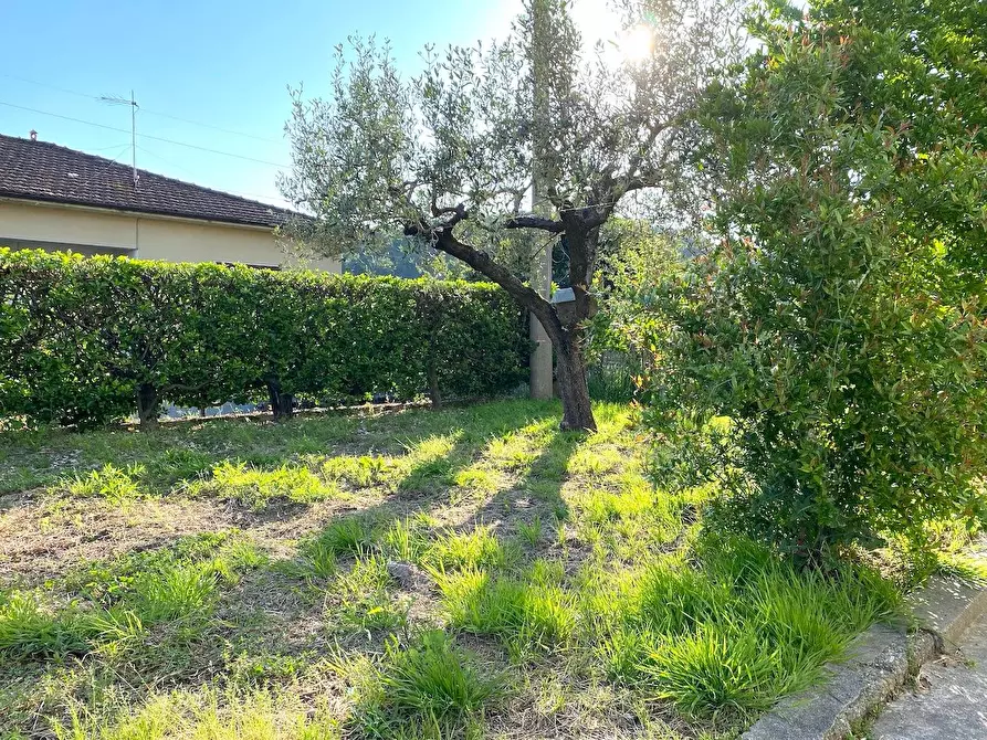 Immagine 4 di Casa bifamiliare in vendita  a Massa