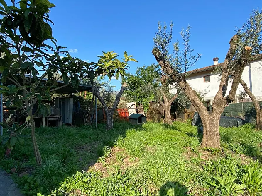 Immagine 3 di Casa bifamiliare in vendita  a Massa