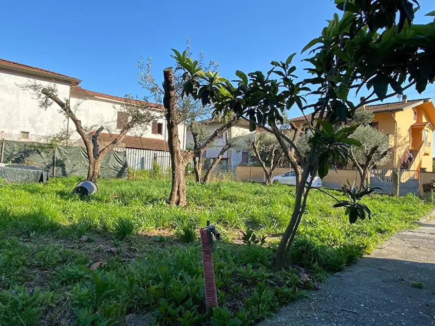 Immagine 12 di Casa bifamiliare in vendita  a Massa