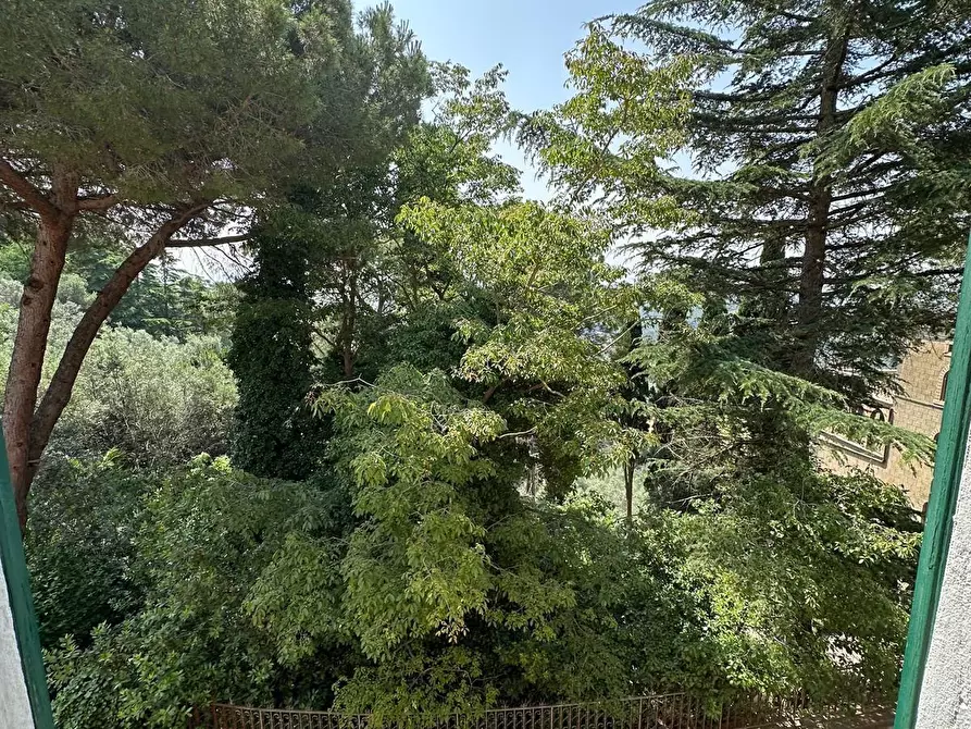 Immagine 11 di Casa indipendente in vendita  a Campiglia Marittima