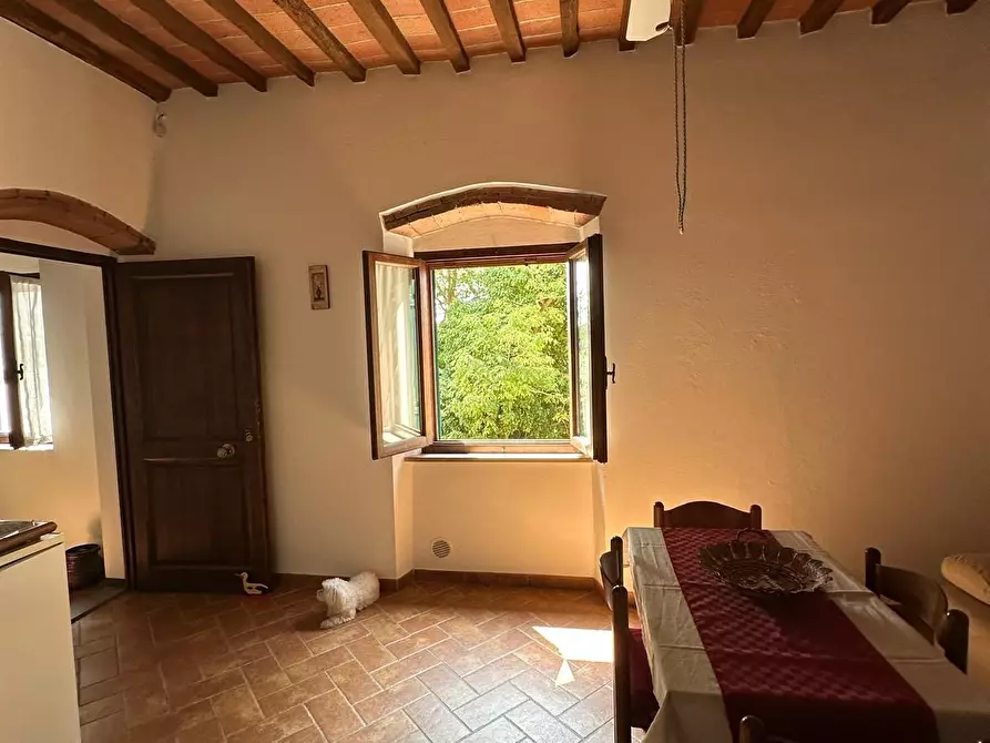 Immagine 5 di Casa indipendente in vendita  a Campiglia Marittima